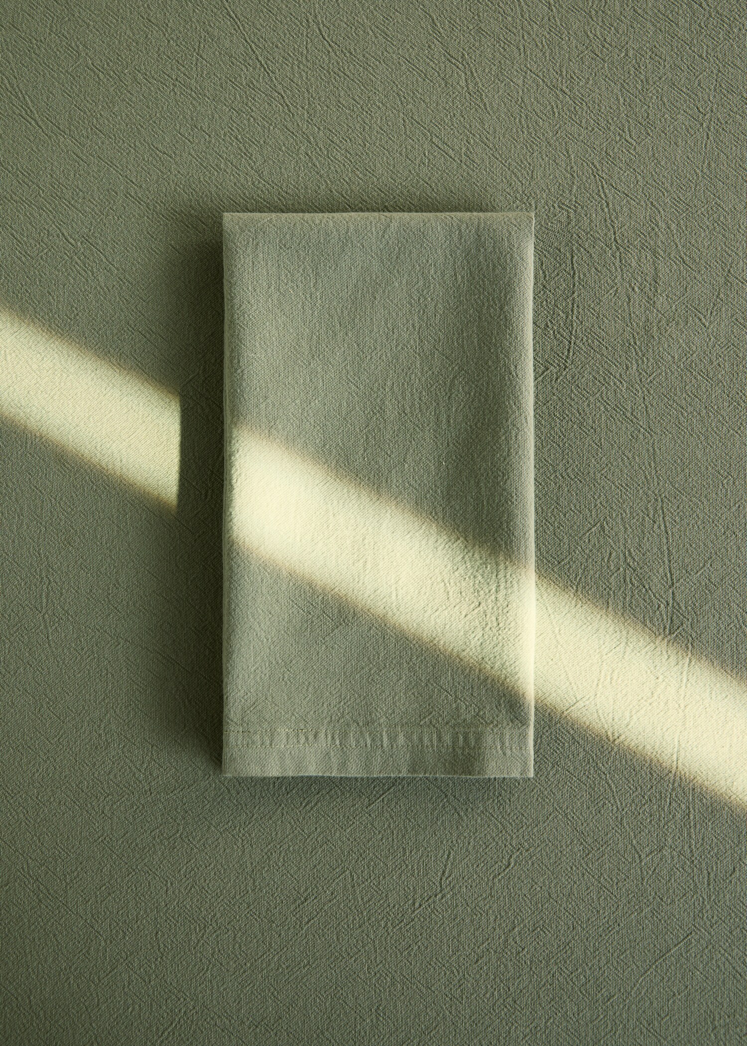 Garment dyed cotton napkins - General plane