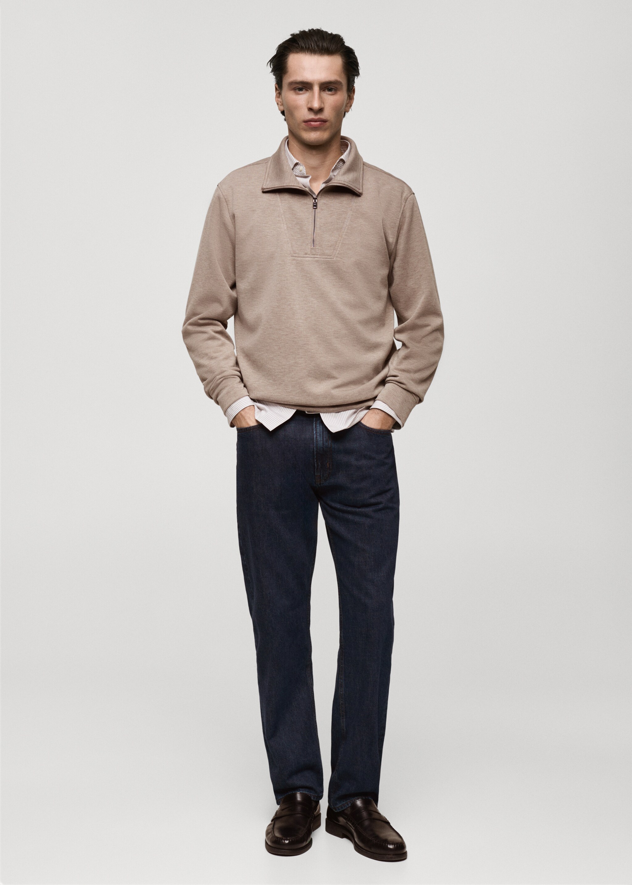 Regular-fit zip-neck sweatshirt - General plane, Mink Grey. Ref: 87072888-00.