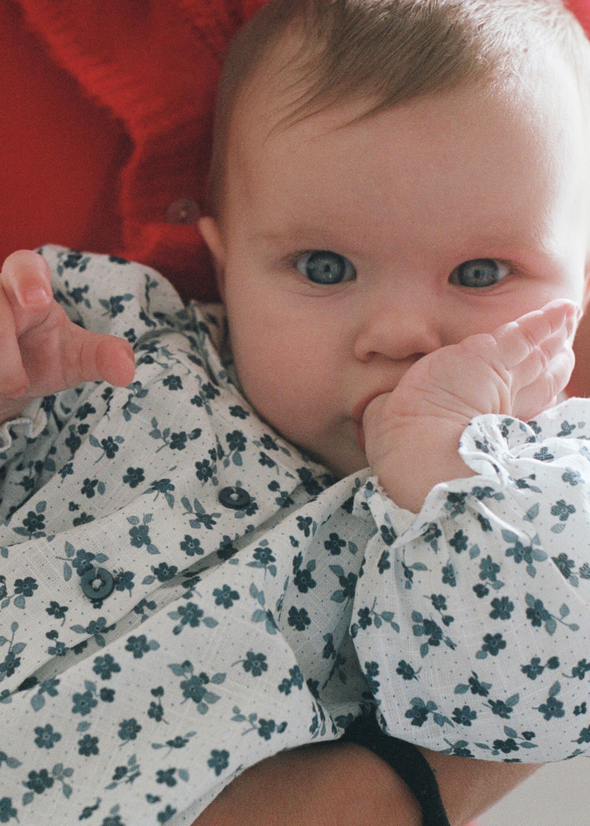 Floral-print cotton blouse - General plane, Off White. Ref: 87074414-00.