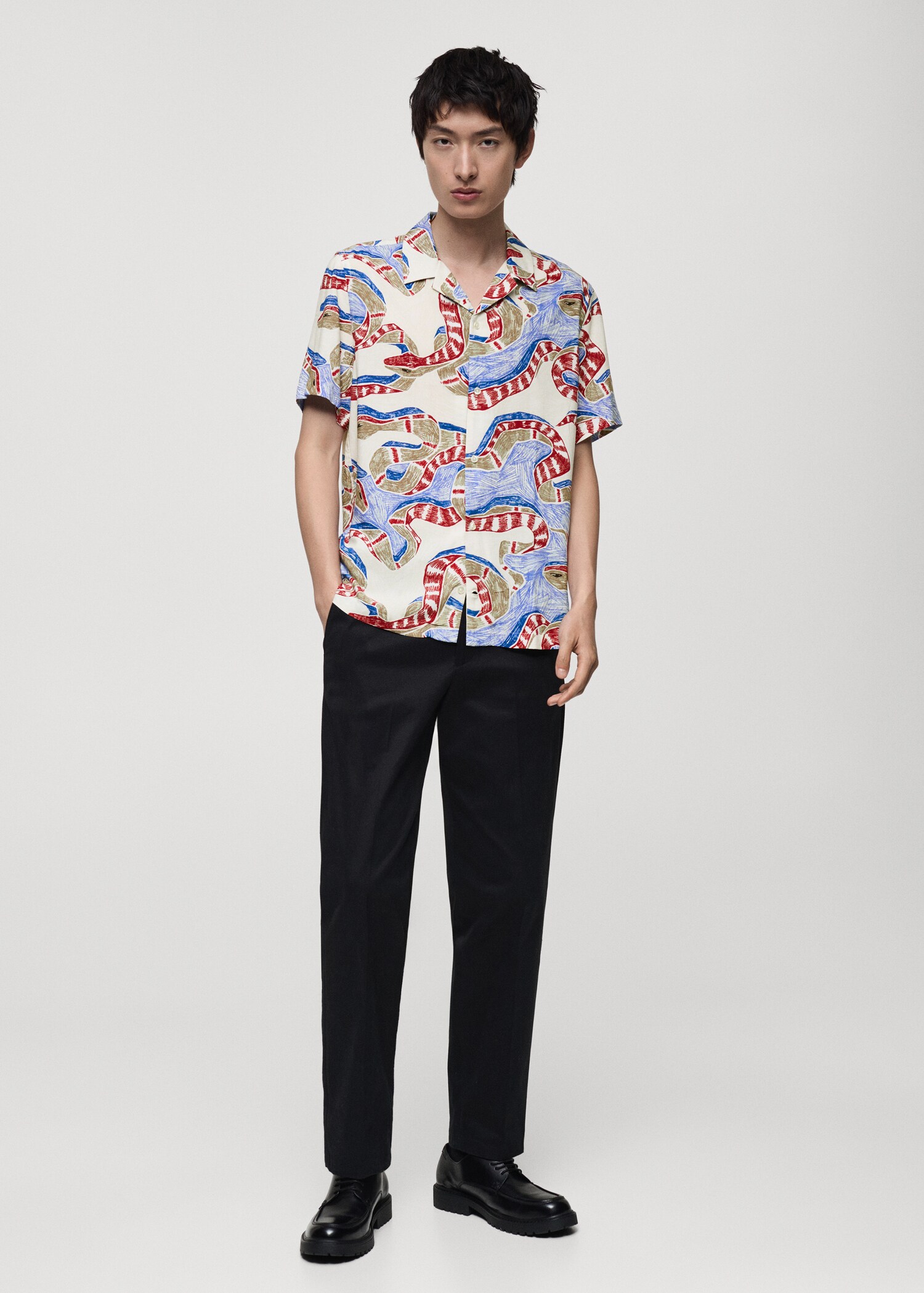 Regular-fit printed shirt - General plane