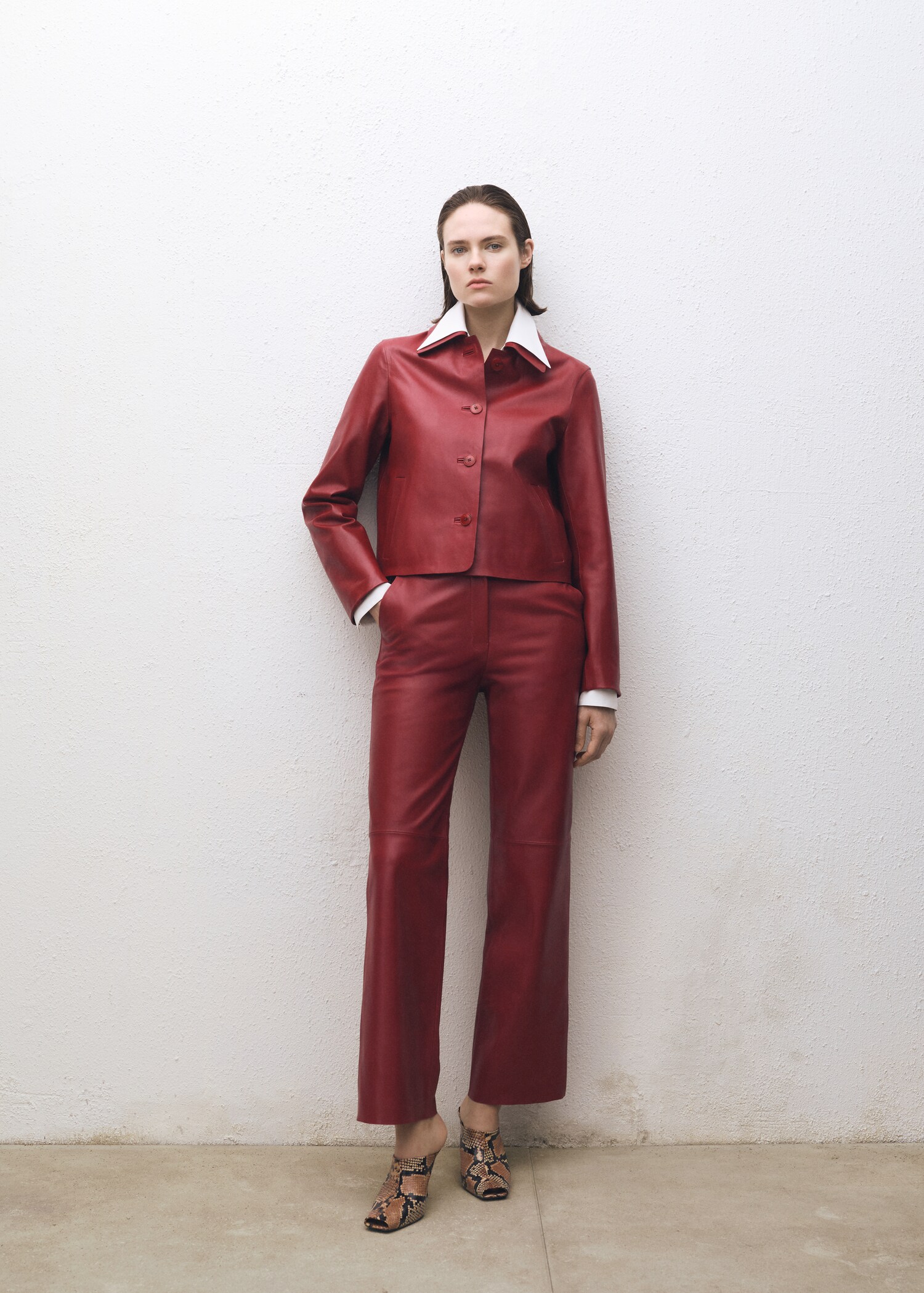 Veste cuir boutons - Plan général