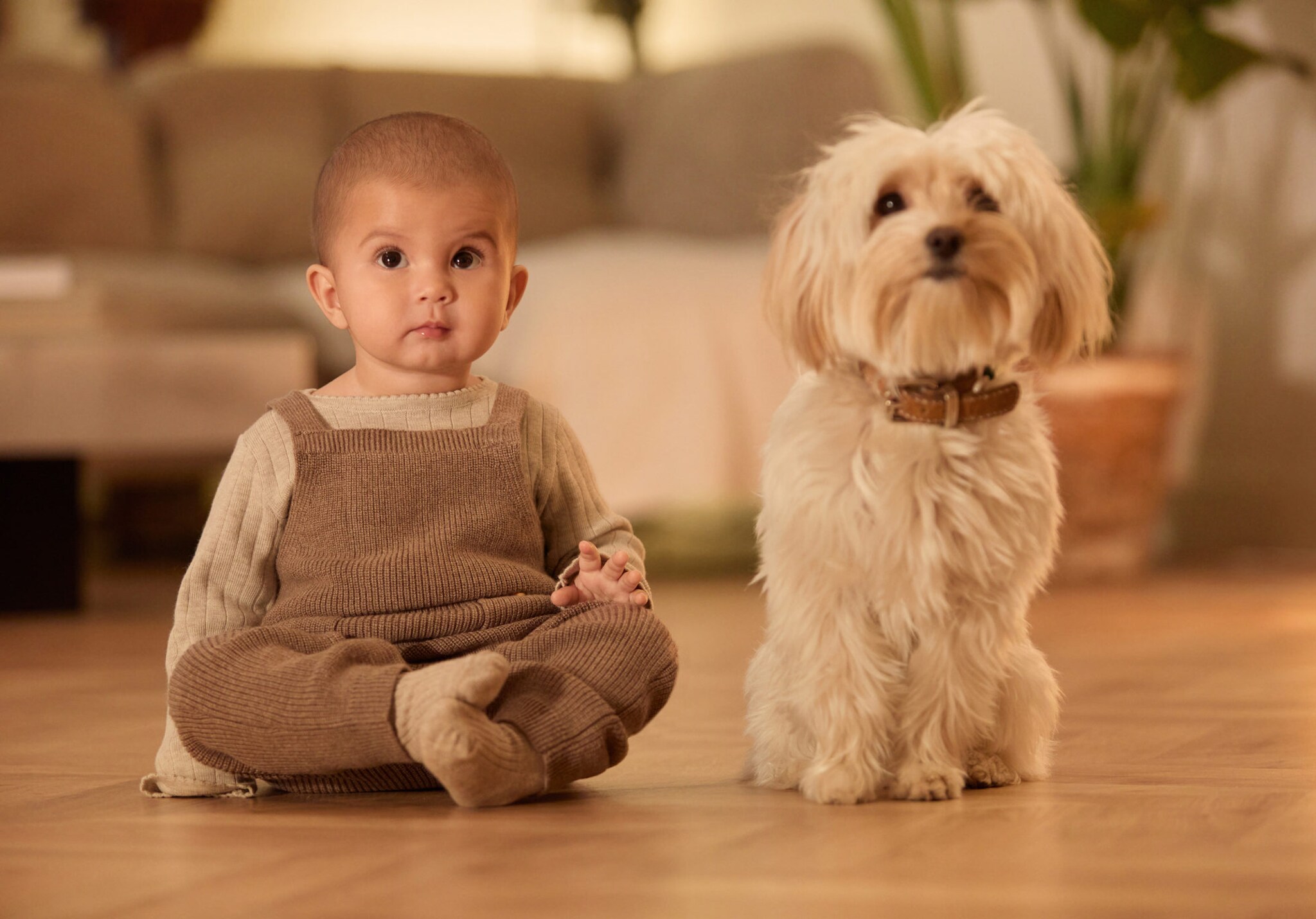 Cotton knit dungarees - Panoramic plane