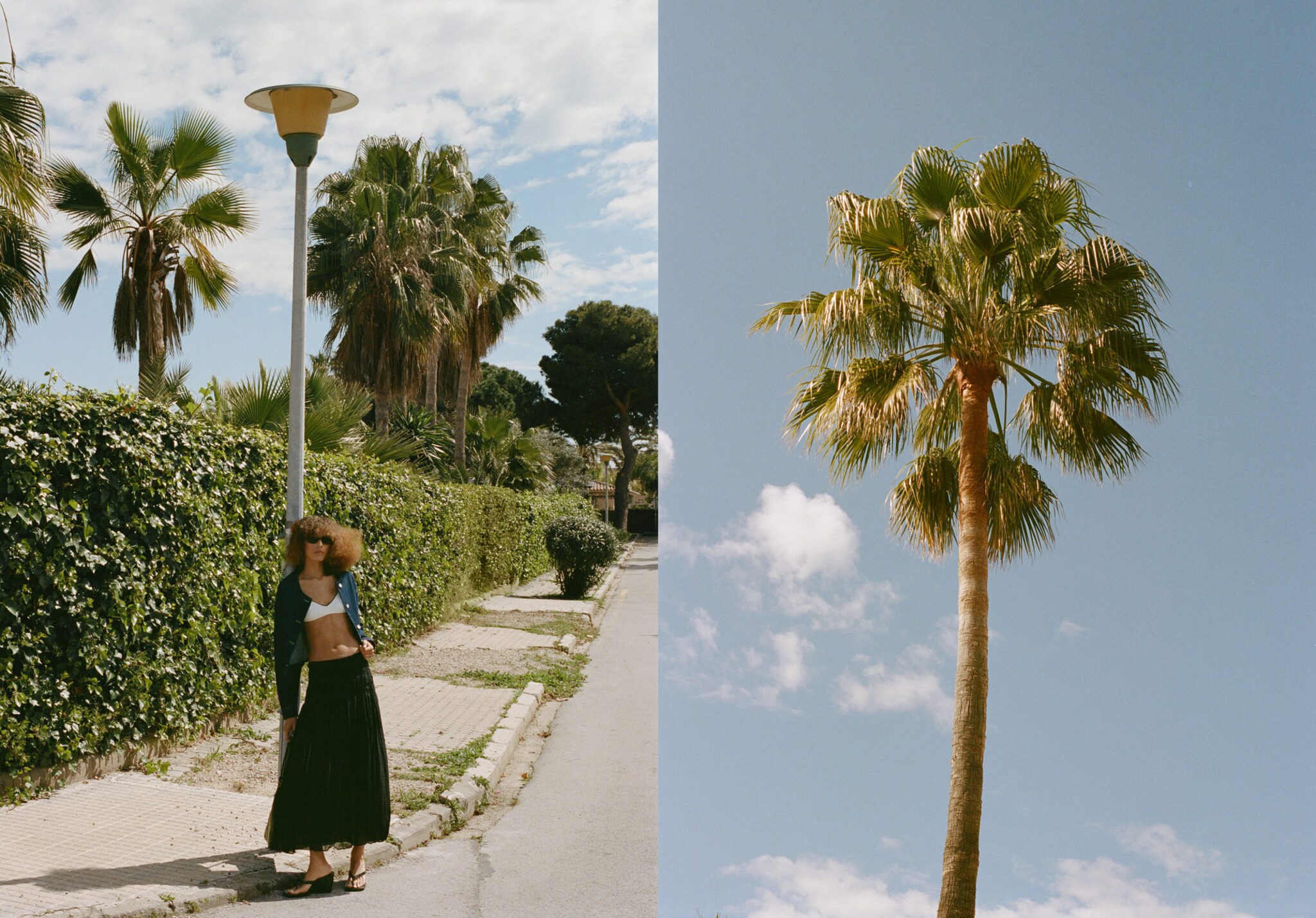 Gathered midi-skirt - Panoramic plane