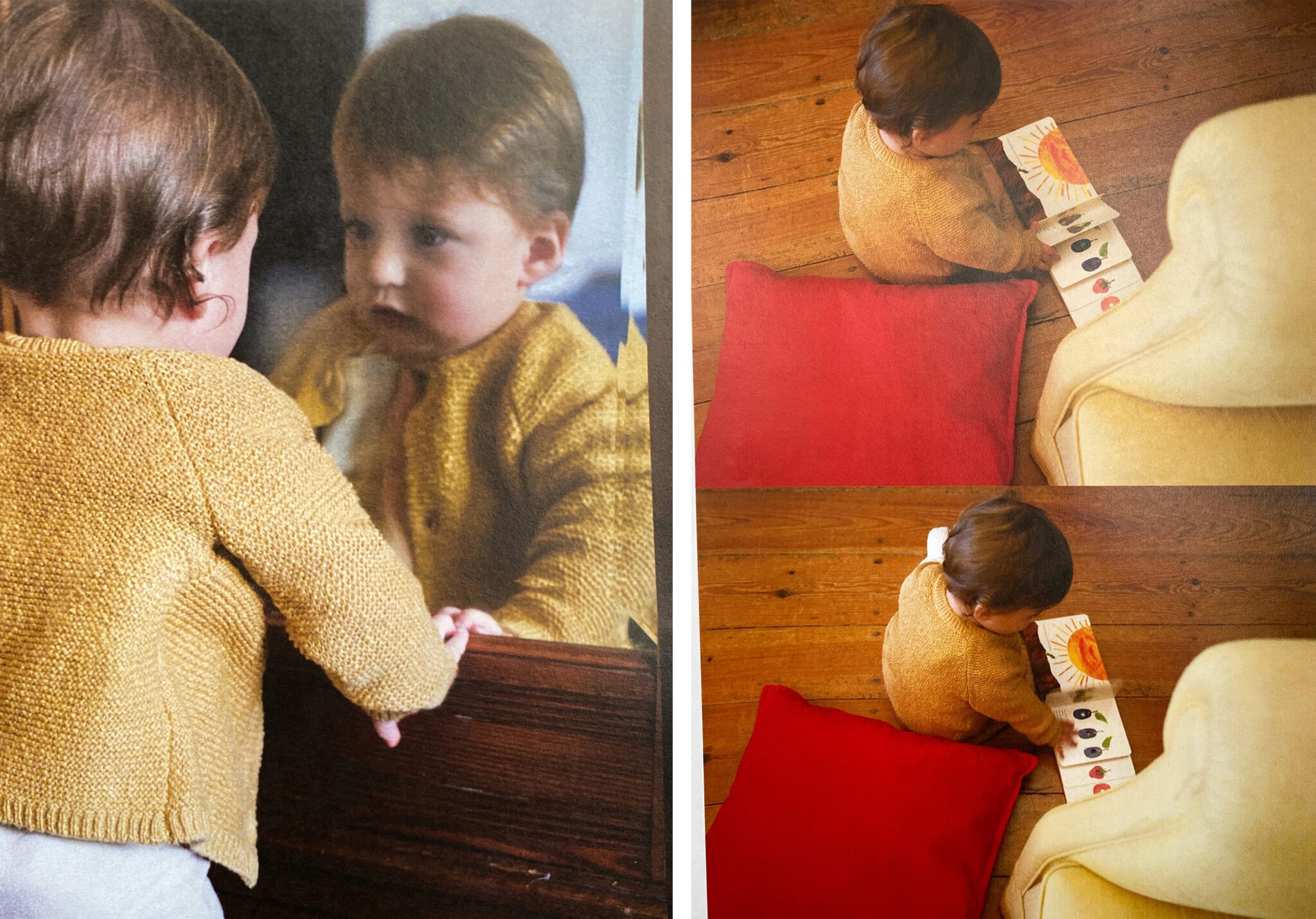 Knitted button cardigan - Panoramic plane